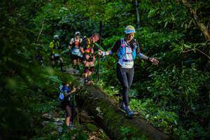 BIB: 
                            <button type="button" onclick="openModal(18922805)" class="btn btn-primary btn-sm float-right btn-popup" data-toggle="modal" data-target=".modal-high-quality">
                        <i class="fas fa-shopping-cart"></i> Add to Cart
                    </button>
                                            <button type="button" onclick="isThisMe(18922805, true)" class="btn btn-success btn-sm float-right btn-popup btn-isme hidden" data-toggle="tooltip" data-placement="bottom" title="นี่คือรูปของคุณใช่ไหม คลิกที่นี่เพื่อเอาเข้าอัลบั้ม">
                        <i class="fas fa-plus"></i> Add to album
                    </button>
                    <button type="button" onclick="isThisMe(18922805, false)" class="btn btn-warning btn-sm float-right btn-popup btn-isnotme hidden">
                        <i class="fas fa-ban"></i> Remove from album
                    </button>